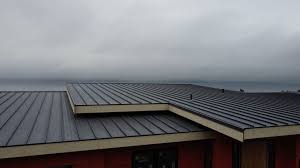 Best Roof Coating and Sealing  in Platteville, CO